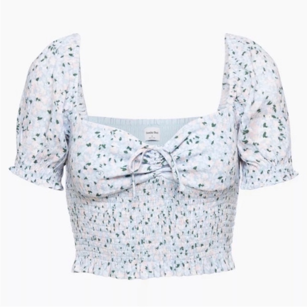 Aritzia Sunday Best- Beautiful Floral Smocked Puff Sleeve Top